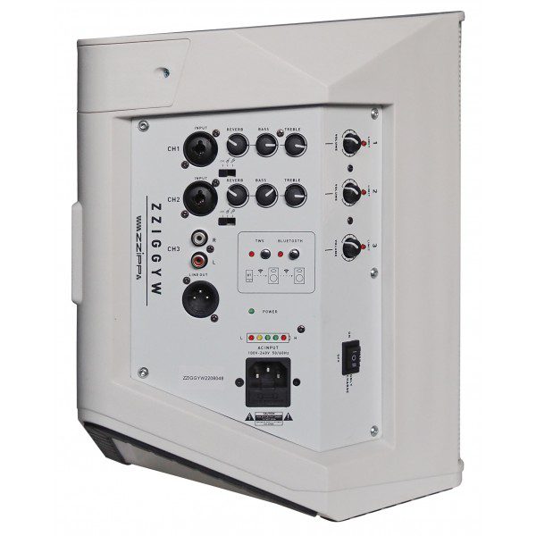 ZZIGGYW CASSA ATTIVA 6.5" FUNZIONAMENTO A BATTERIA