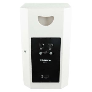 PROEL SOUND LTX10PW