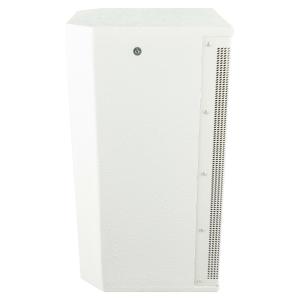 PROEL SOUND LTX10PW