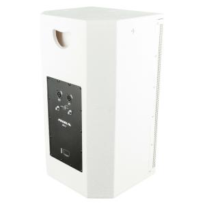 PROEL SOUND LTX12PW