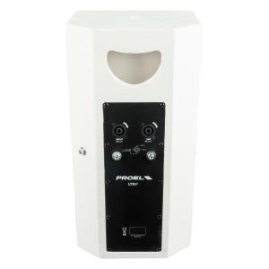 PROEL SOUND LTX8PW