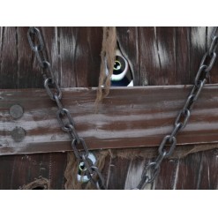 EUROPALMS Halloween Coffin of Horror, animated, 155cm