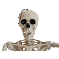 EUROPALMS Halloween Skeleton, standing, 150 cm
