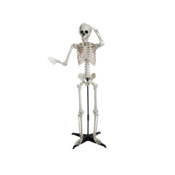 EUROPALMS Halloween Skeleton, standing, 150 cm