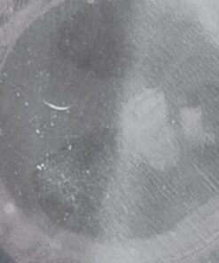 Parcan 16 with GU10 Socket Lucido