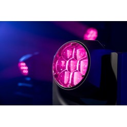 Xpression 2000W - WashBeam Testa mobile wash/beam 7 LED da 40 W