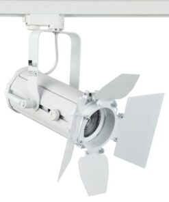 Display Track Fresnel 20 SW White Trifase - Fresnel LED switchable white - 540 lumen - bianca