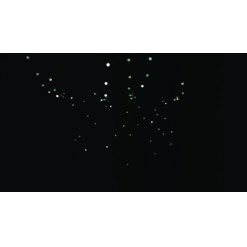 Festoon Q4 String IP65 20 Pixels, 15 m 20 Pixel, 15 m