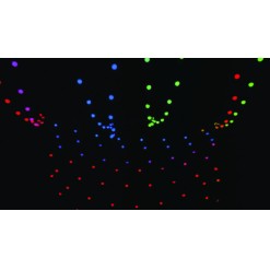 Festoon Q4 String IP65 20 Pixels, 15 m 20 Pixel, 15 m