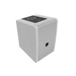 INTUSONIC 6FP100T 6.5" 2-way Fullrange Speaker white