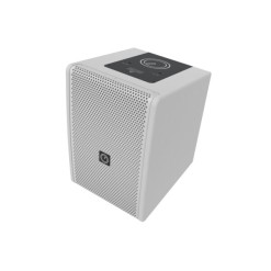 INTUSONIC 6FP100T 6.5" 2-way Fullrange Speaker white