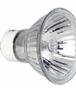 LED Filament Bulb G125 5 W - dimmerabile - filamento a spirale