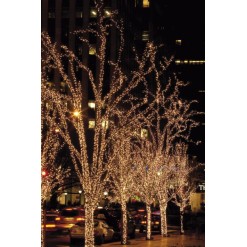 LED Rubber String Light WW 100 LEDs - 10 m - LED Space - 10 cm 100 LED/10M/Distanza fra i LED 10cm