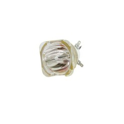 USHIO NSL 421 Reflector Discharge Lamp